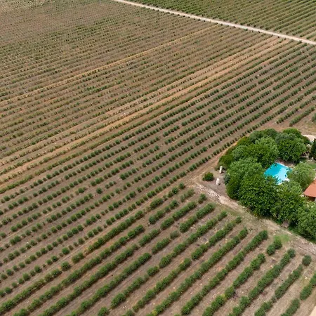 In Sassari 27452 빌라 Campanedda